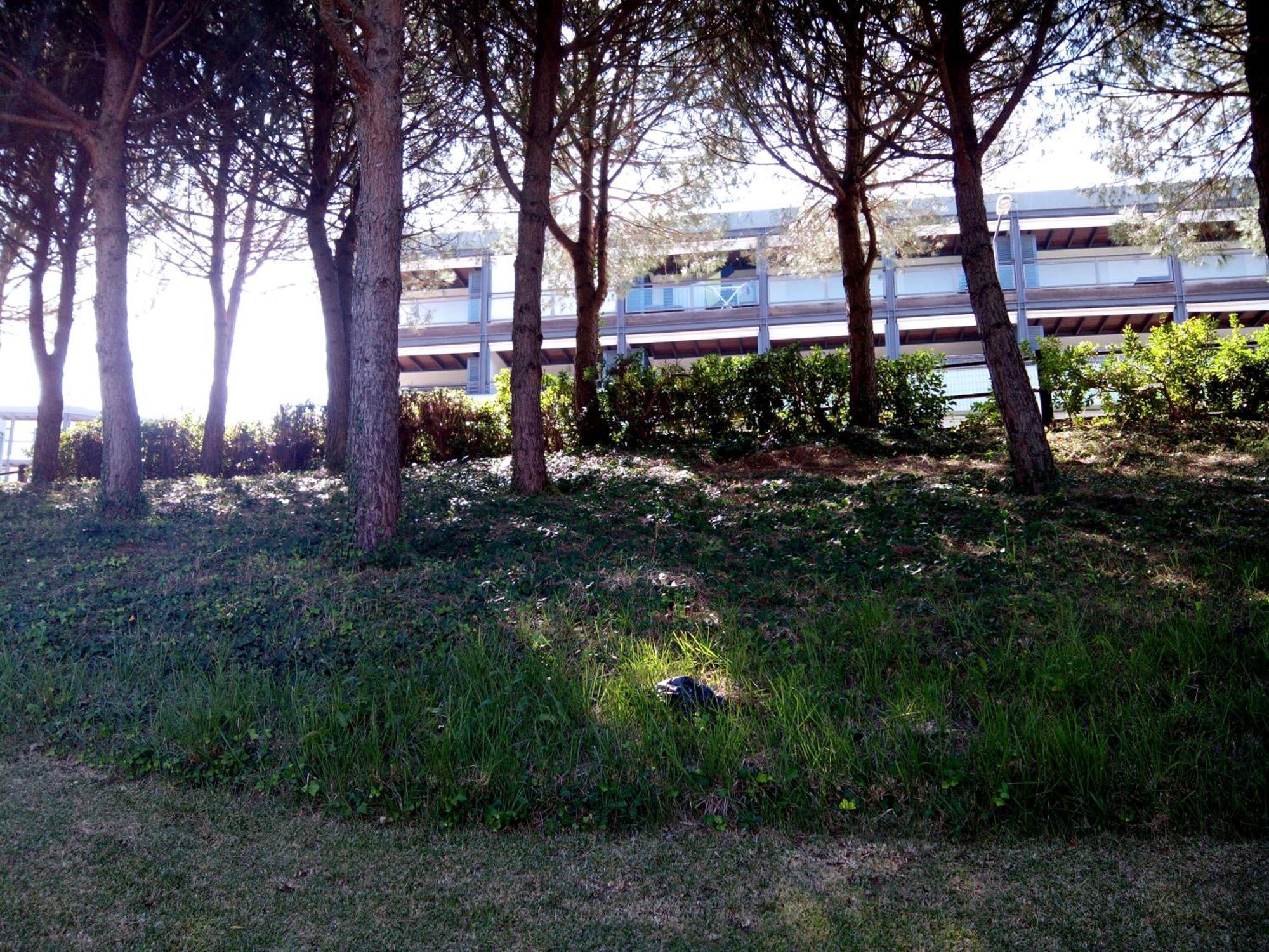 Apartment Belleview Lagos Buitenkant foto