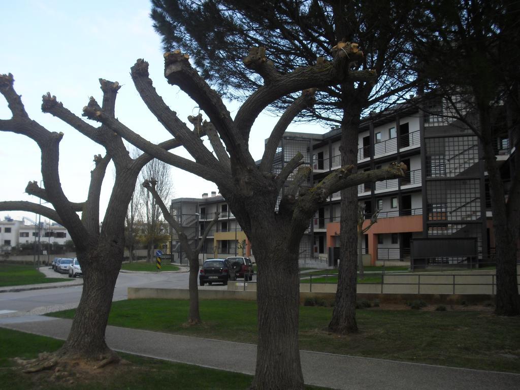 Apartment Belleview Lagos Buitenkant foto